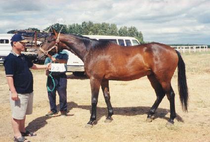 �����Ʈ ����