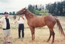 ���Ӷ���Ʈ�� (EMERALD TROUPE) ����