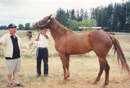 ���Ӷ���Ʈ�� ����