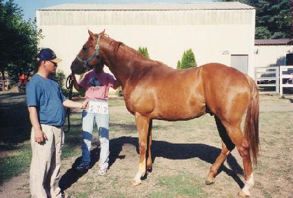 �ٿ�鸮����� ����