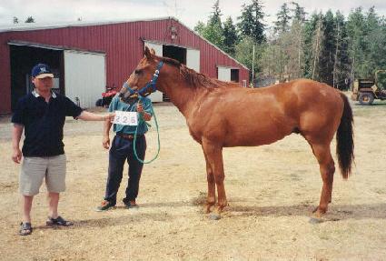 �ε�ƽ�Ÿ�� ����