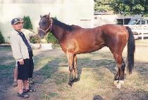 ����峪��Ʈ (RUGGED NIGHT) ����