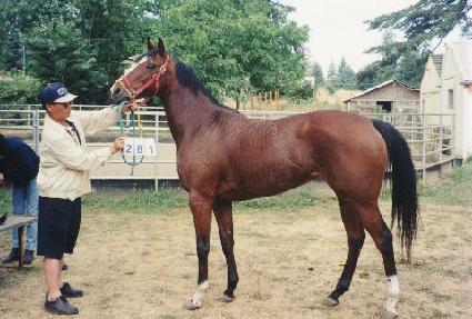 �����Ϸ��ҵ� ����