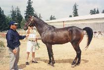 �����ο����̴Ͻ� (HIS ROYAL HIGHNESS) ����