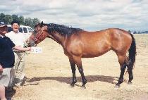 �̽�Ʈ���̷ε� (MIST MY ROAD) ����