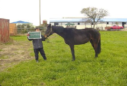 ŰƼŰƼŰƼ ����