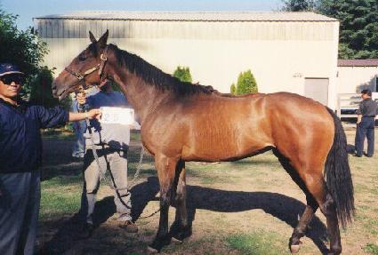 ����ũ�շ��Ͻ� ����