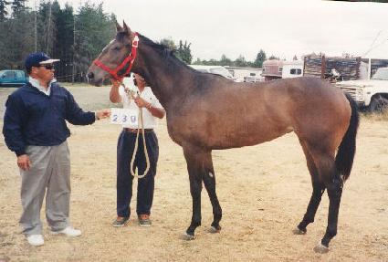 ��� ����