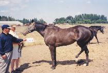 �극�������� (BREATH OF HEAVEN) ����