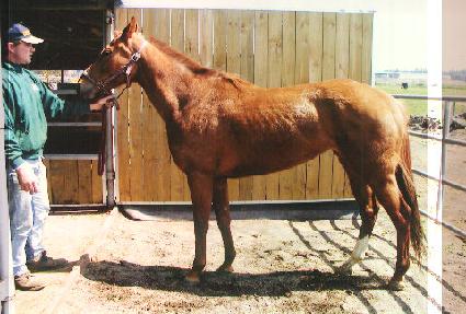 �ιٹ��� ����