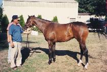 �̾ƽ���Ƽ�� (MIA��S PARTY GIRL) ����