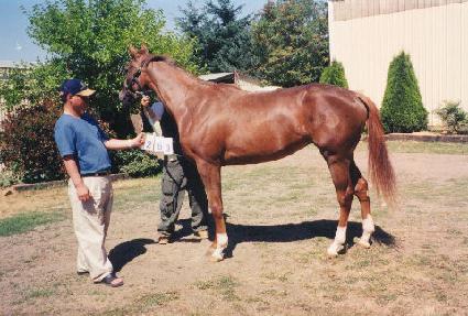 ��Ÿ�ӽ��� ����