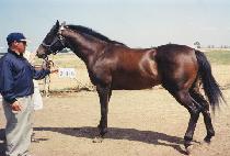 ���̺��� (HEYBIGBOY) ����