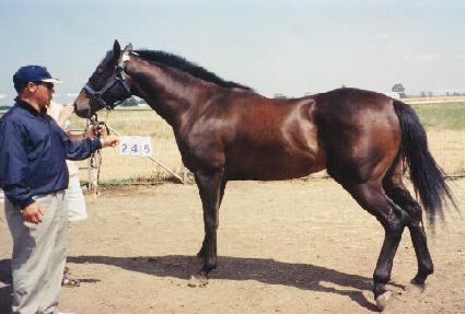 ���̺��� ����