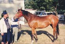 ���̵�ӵ鸰 (LADY MAUDLIN) ����