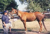 ��ε�����ε� (MELODYSWEETMELODY) ����