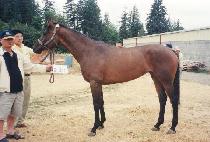 ���ٽ������ (LYPH��S A DANCE) ����