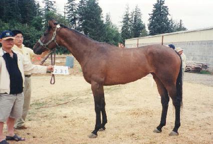 ���ٽ������ ����