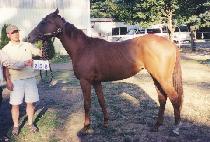 �ô������ (ALL THE PENNIES) ����