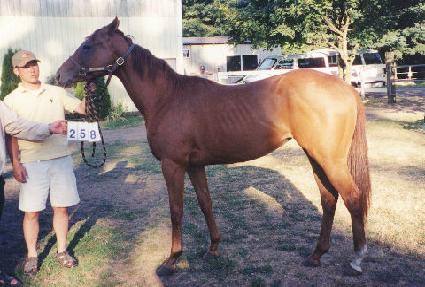 �ô������ ����