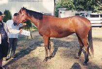 KANSAS CITY GIRL picture