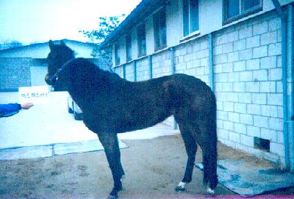 �̽��н�ĳ�� ����