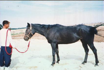 �ε��������ǽ� ����