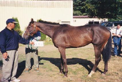 �÷��̵��� ����