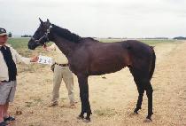 ����Ʈ������ (WRITE THE ORDER) ����