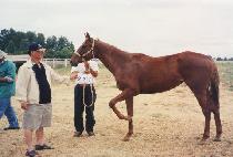 �������� (THE RED JET) ����