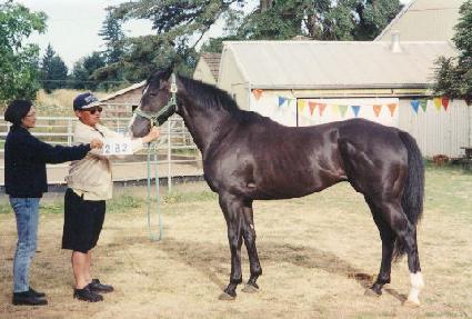 ���̵ε� ����