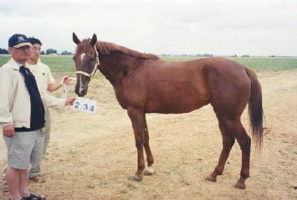 �����̺����Ŀ ����