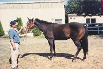 ������ôŰ�� (SKOOKUMCHUCK KID) ����