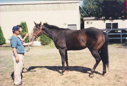 ������ôŰ�� ����