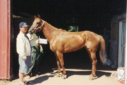 �̽�����Ʋ ����