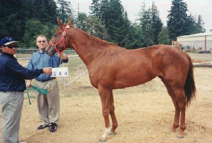 ĳ����ٿ� ����