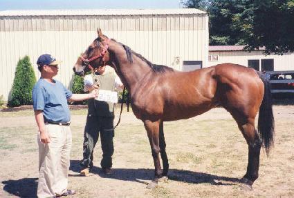 ����������Ǫ�� ����