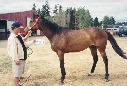 �����ҷ���Ʈ ����