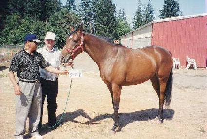 ��Ʈũ�� ����