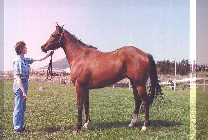 �̽�Ʈ����Ÿ ����