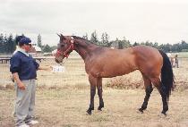 �𽺱����� (THIS GEARS FOR YOU) ����