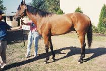 Ŭ����������Ϳ� (CLEAREDFORTAKEOFF) ����