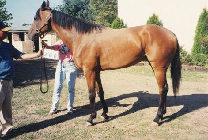 Ŭ����������Ϳ� ����