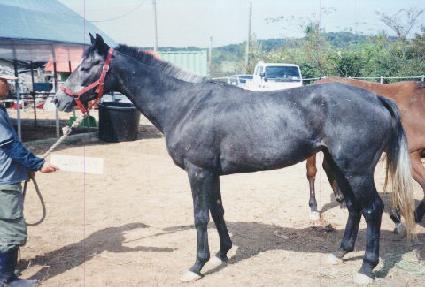 ��Ʈ�ʰ������ ����