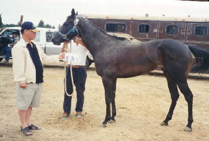 ����Ƽ���Ƽ ����