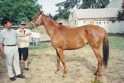 �����������ͽ� ����