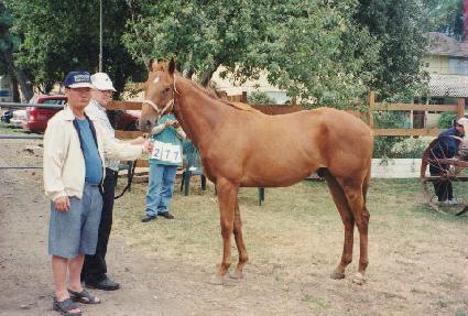 ����� ����