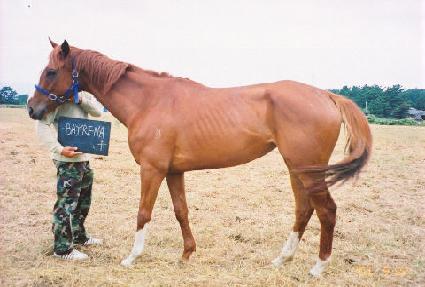 ���̸��� ����