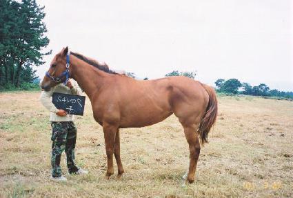 ���̹� ����