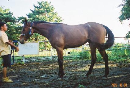 ���� ����